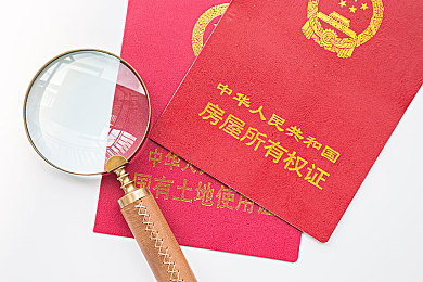 我区表彰六大攻坚战青年先锋