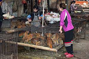 中国人寿林芝分公司参与现场招聘活动
