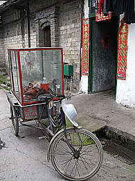 市民政局组织召开困难残疾人生活补贴和重度